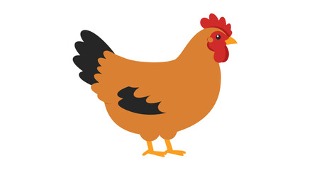 Simple Chicken Vector Illustration with Clean Lines and Flat Design Style depiction of a Poultry Animal