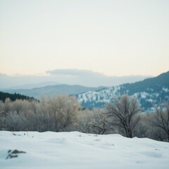 Serene winter landscape featuring a blanket of snow covering the ground, with distant mountains and bare trees under a soft, pale sky