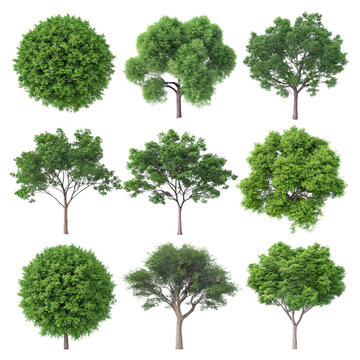 Collection of 3D top view green trees isolated on transparent background image, 3D tree models overhead view, lush green foliage rendering, realistic tree canopy illustration, nature design elements