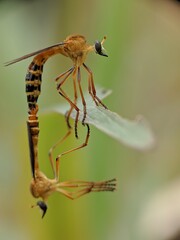a woman is cupping her hands under her chin