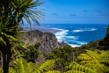 Spectacular coastal cliffs plunging into the Pacific Ocean along lush Mercer Bay Loop Track, near Piha Beach, Waitākere Ranges, west coast, North Island, New Zealand