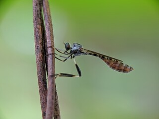 a woman is cupping her hands under her chin