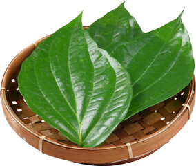 Betel Leaves Isolated On Transparent Background