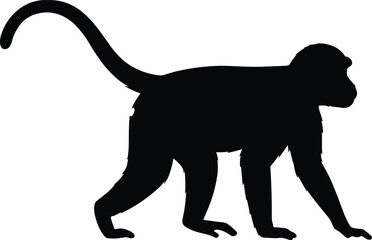 Monkey silhouette, walking primate, black and white, animal vector graphic, wildlife illustration, tail raised, jungle design, minimalist creature art