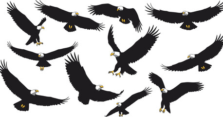 Bald eagles in flight, majestic wildlife, soaring birds of prey, freedom symbol, detailed vector illustration, nature predators, powerful wingspan art