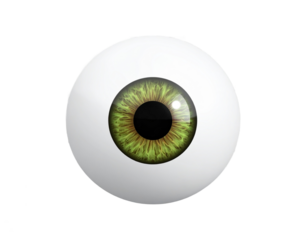 Detailed Green Eye Isolated on Transparent Background with Detailed Iris and Reflection