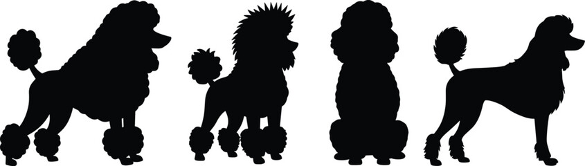 Silhouette of groomed poodles, black and white image, pet grooming styles, elegant dog breeds, Adobe Stock, animal lovers photo