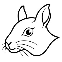 black and white rabbit