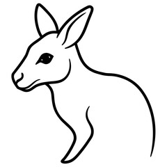 kangaroo vector illustration