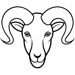 vector illustration of a sheep
