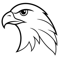 eagle head vector illustration
