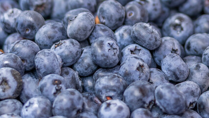 blueberries on a plate