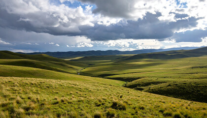 Fototapeta premium Vast Pristine Grassland Landscape