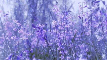 A field of vibrant purple bluebell flowers in bloom with a blurred background of trees and falling snow