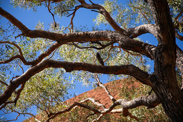 red rock canyon hike sky outdoors adventure