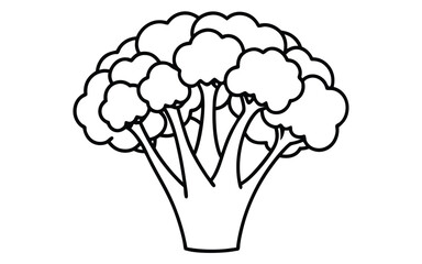 Broccoli florets crown vegetable food