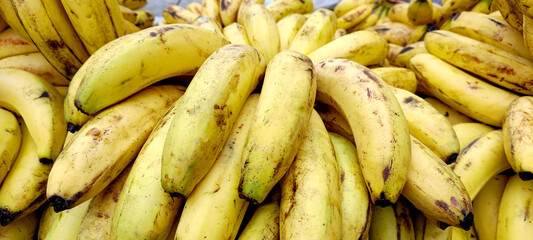 Bunches of Fresh Ripe Bananas at a Local Fruit Market