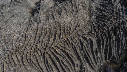 The texture of a karst rock. A black stone surface with intricately twisted furrows. Top view. Close-up. Full screen. Madagascar. Tsingy De Bemaraha  