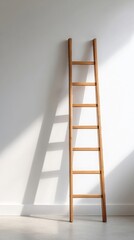 ladder to success