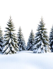 Naklejka premium Snow-covered evergreen trees in a winter scene against a white background