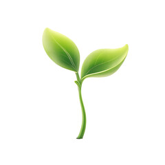 Obraz premium Delicate green sprout with two new leaves on white background