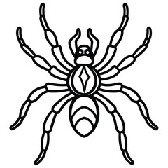 Simple Black Outline Drawing of a Spider with Detailed Body and Eight Legs