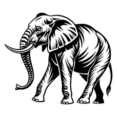 Fototapeta premium Elephant illustration isolated on transparent background in black and white style