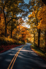 Fototapeta premium Discover the Breathtaking Beauty of an Autumn Foliage Drive: A Scenic Journey Through Vibrant Fall Colors