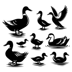 Set of duck silhouette
