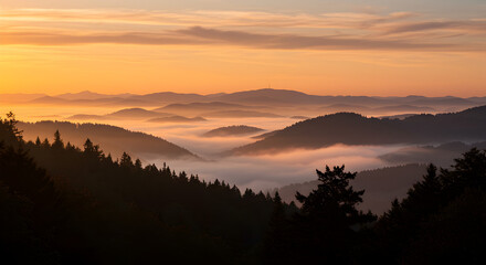 Breathtaking Golden Sunrise Over Misty Mountain Range and Forest Silhouettes