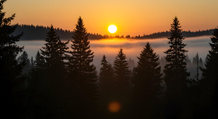 Golden Sunrise Over Misty Forest with Silhouetted Evergreen Trees