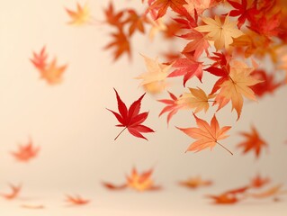 紅葉が舞い散るカエデの背景