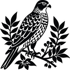 Obraz premium Detailed hawk & falcon illustrations - bird of prey designs