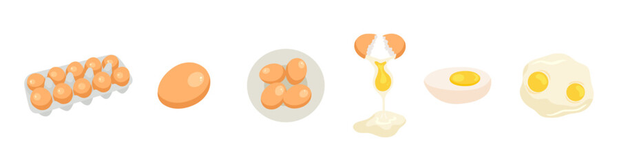 Eggs set. Raw, boiled, whole and sliced, peeled eggs. Scrambled eggs, omelette, yolks, eggshell, egg carton box isolated on white background. Poultry farming theme. Flat vector design illustration