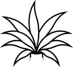 black and white lily