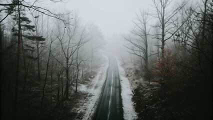 Obraz premium A misty road between birch and pine trees.