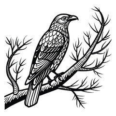 Eagle bird perched on branch black line art on white