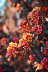 A Lush Celebration of Nature: Discover the Enchanting Beauty of a Bush Dotted with Vivid, Colorful Blossoms, Offering a Serene Escape into a Flourishing Floral Wonderland
