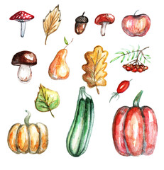 Various hand-painted autumn elements feature apples, mushrooms, pumpkins, leaves, and acorns, highlighting the season's rich colors and natural beauty.