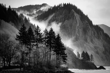 Misty coastal landscape in black and white