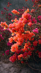 A Lush Celebration of Nature: Discover the Enchanting Beauty of a Bush Dotted with Vivid, Colorful Blossoms, Offering a Serene Escape into a Flourishing Floral Wonderland