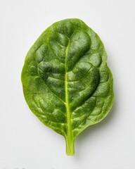 Vibrant Fresh Spinach Leaf on Minimalistic White Background with Detailed Texture