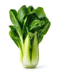 Fresh Green Bok Choy with Water Droplets Isolated on White Background for Healthy Cooking