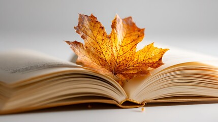 An open, hardcover book resting on a white surface. A single, beautiful autumn leaf serves as a bookmark.