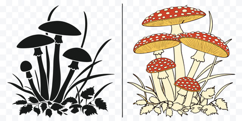 Amanita Mushroom Illustration in Black and White Silhouette and Colored Vector Graphic Depicting Forest Fungi with Red Caps and White Spots