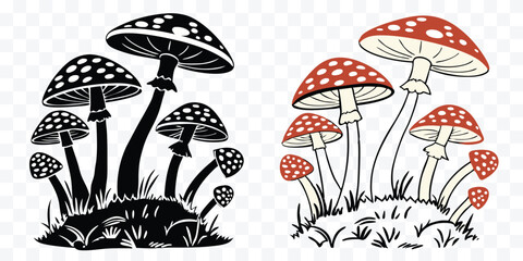 Enchanting mushroom illustration featuring contrasting black and white and colorful red and white mushroom clusters adding a whimsical touch for designs © design png