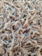 Fresh Raw Shrimp Pile Close Up Ready for Cooking Delicious Seafood Background Texture Culinary Food...