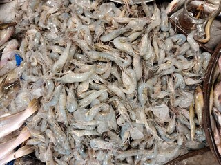 Fresh Shrimp Pile at a Seafood Market Display Delicious and Raw Ingredients for Culinary Delights