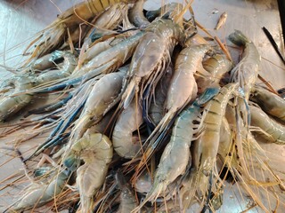 Freshly Caught River Prawns Ready for Cooking Delicious Seafood Delights in Local Market with Blue Tinted Legs and Long Antennae
