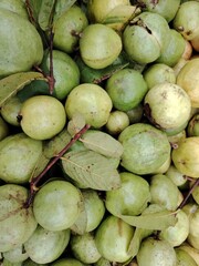 Freshly Harvested Guava Fruit Pile with Green Leaves Perfect for Juice and Healthy Eating Concepts